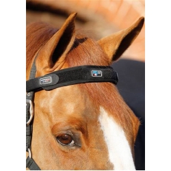 Premier Equine Magnetic Browband